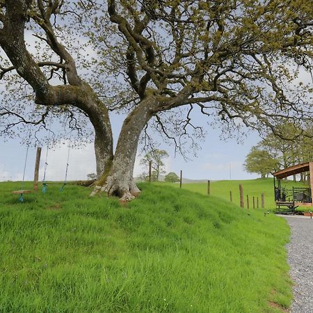 Wild Acre Llangadog Exterior foto