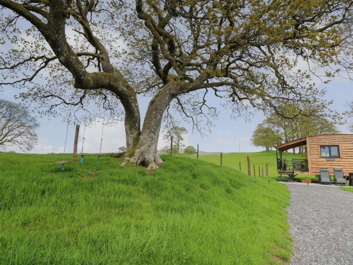 Wild Acre Llangadog Exterior foto